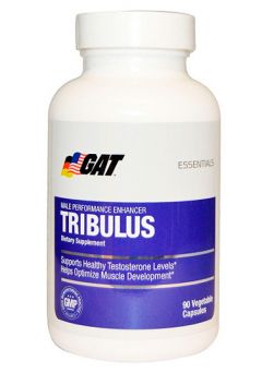 GAT Tribulis 90