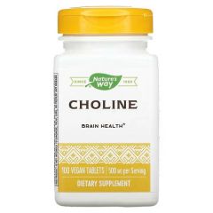 Choline 500 mg