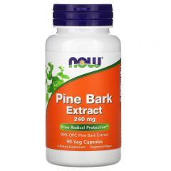 NOW Pine Bark Extract 240 mg